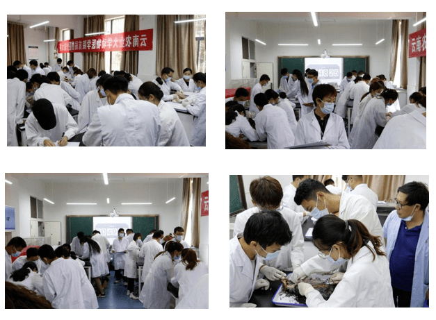 云南农业大学世界兽医日活动暨首届兽医技能大赛圆满举行