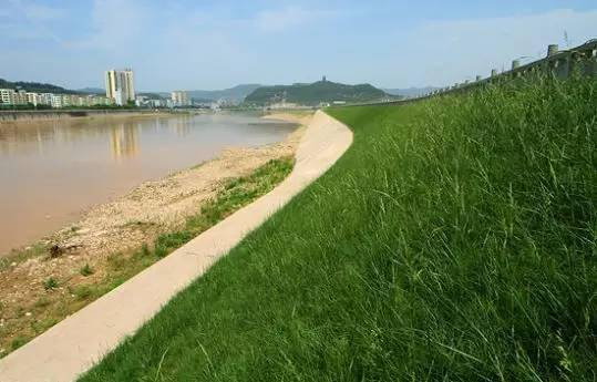 河道湿地景观设计大全附植物种植策略