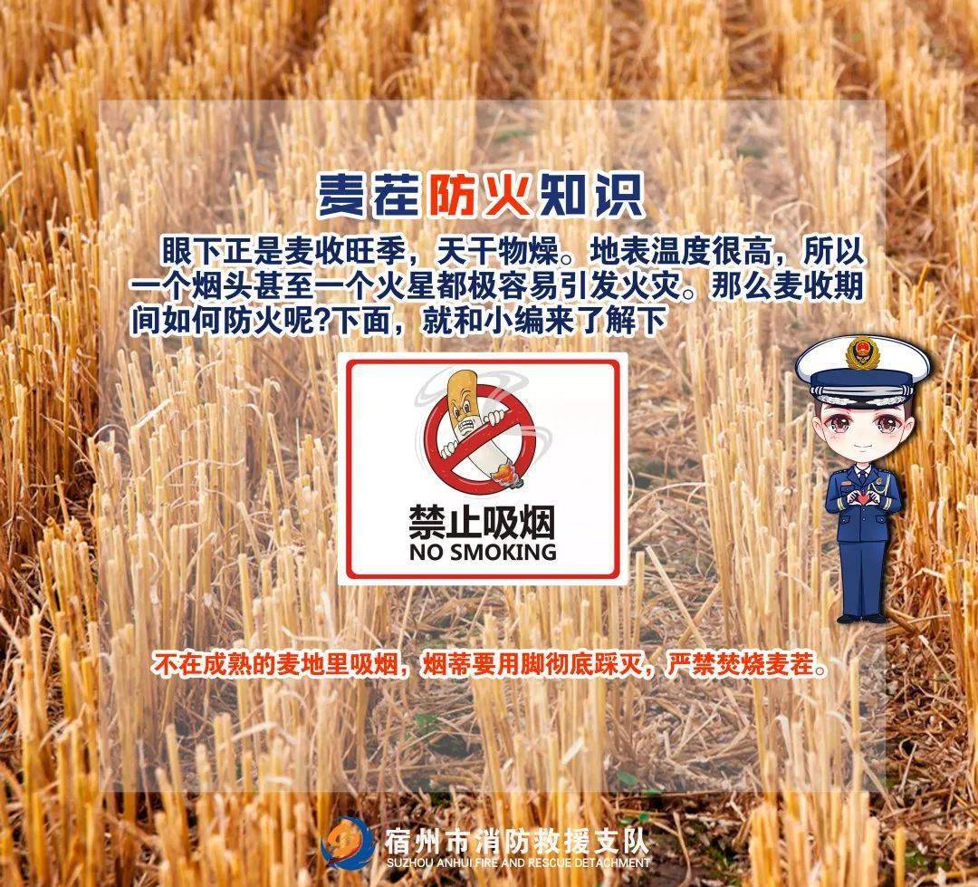 秸杆嚴禁在地頭田間亂扔菸頭嚴禁兒童隨意玩火防止人為火災的發生▌