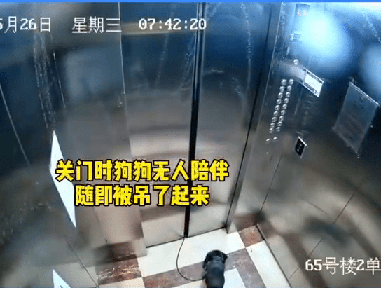 ac03d756c6a84ebbab3bc61e571d7cd5.png