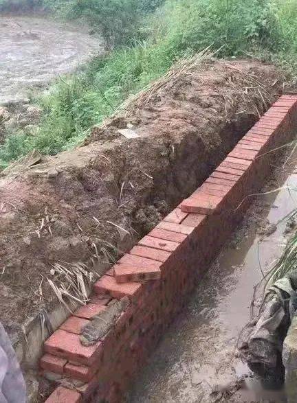 立即行动庐山市这里沟渠出现损坏千亩农田急需解渴