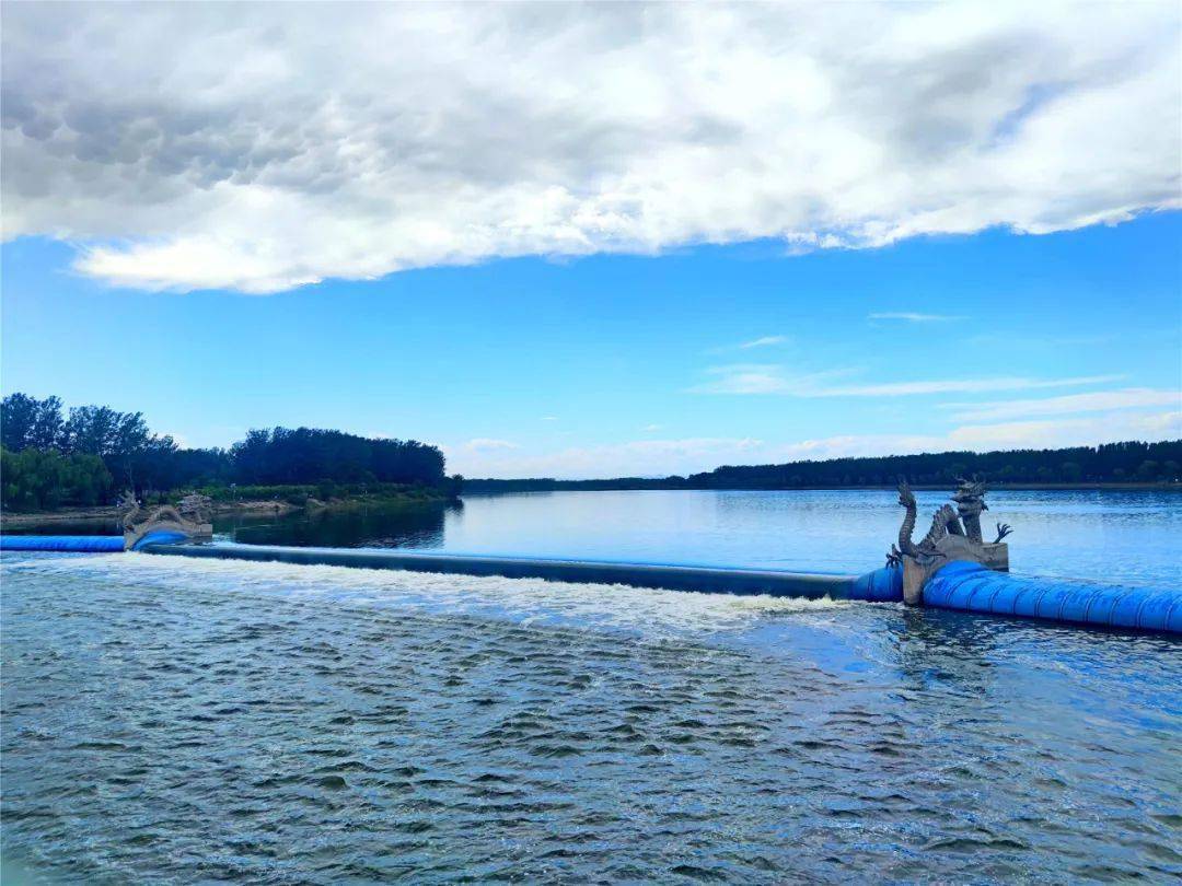 多图直击大规模生态补水下的顺义潮白河