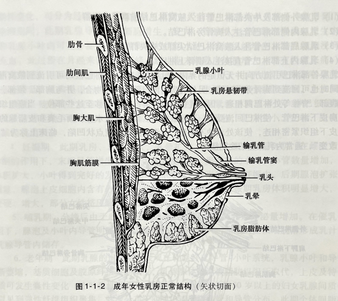 27f24051e89a48ceb56588aabef9172f.png