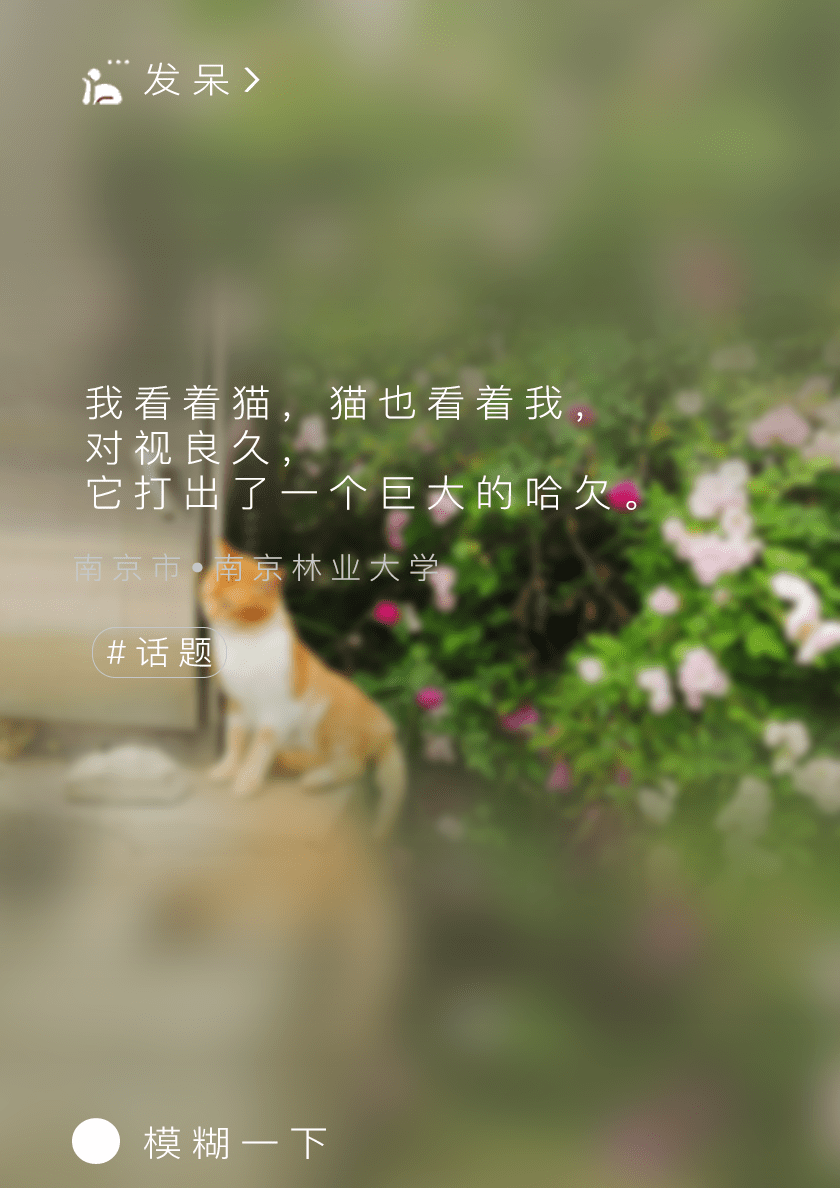 39022d8f89304fcf84f6c725eeb3bfea.png