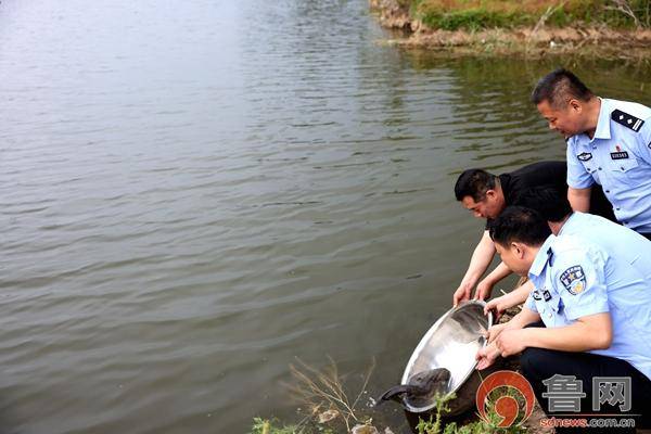 什么时候种水草合适 4b252597d50241a483ea7e84212648c2.jpeg