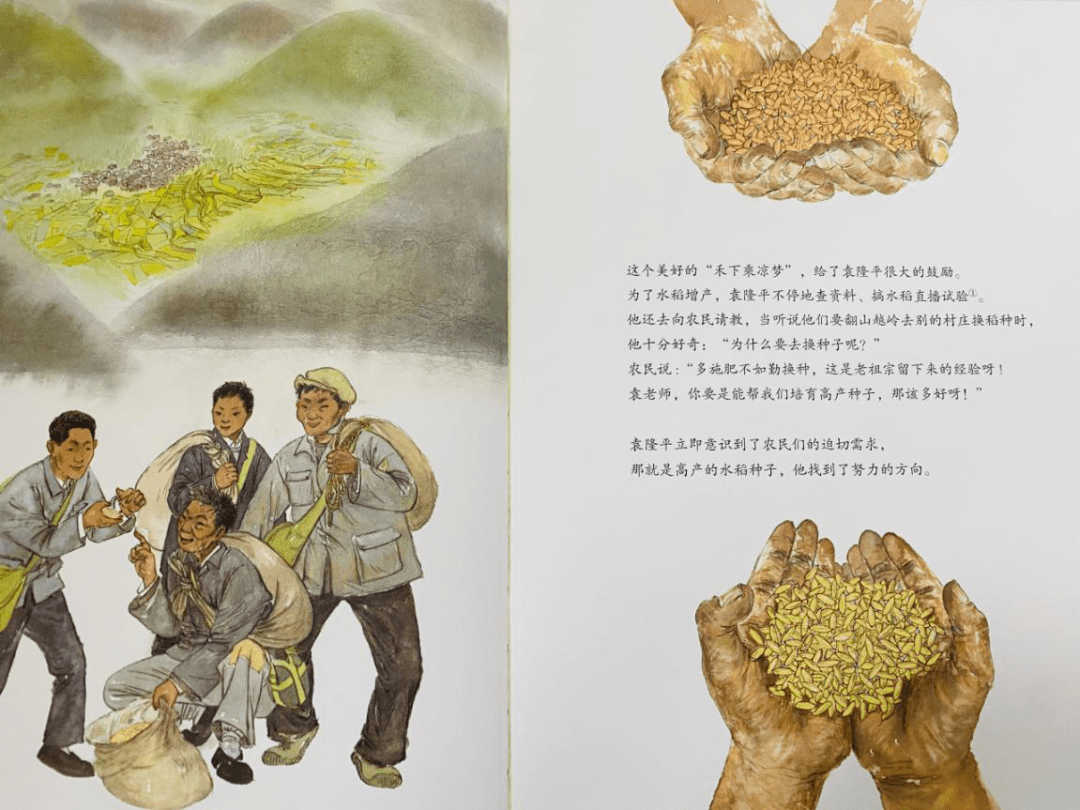 一粒种子改变世界袁隆平爷爷的故事