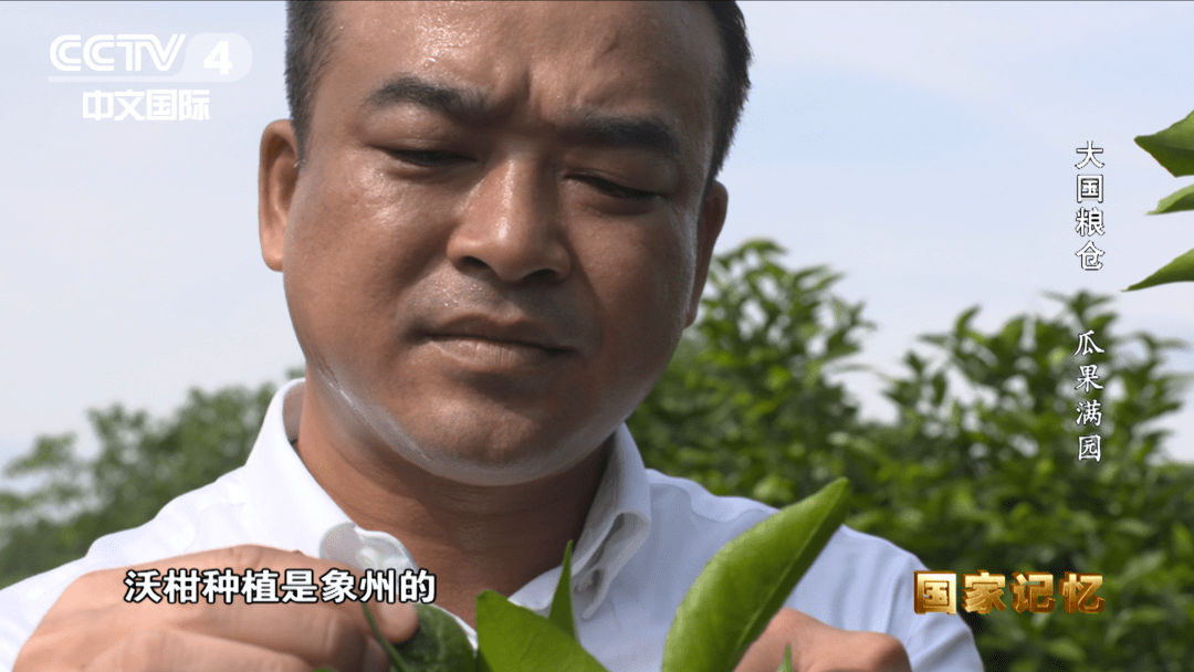 纪录片大国粮仓第九集瓜果满园