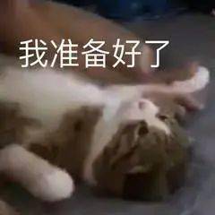 0baceb1447a8487eba938642e3321b75.jpeg