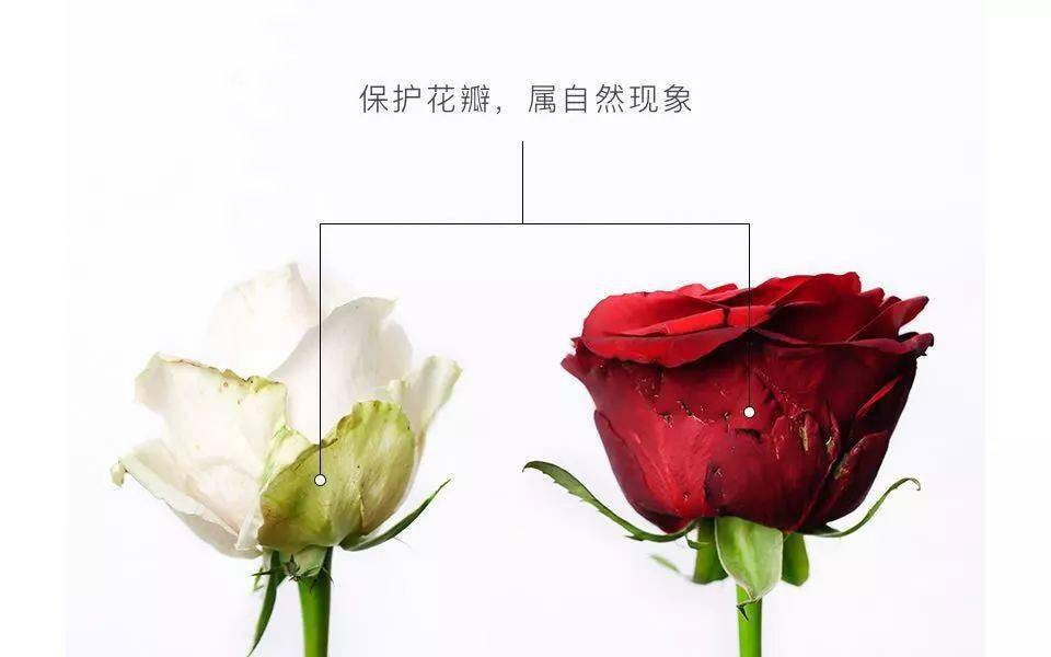 7c48fc164c7d40539d5df478e15b233a.jpeg