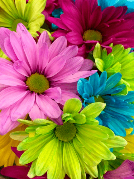 baf510764a6f450b863b296fa5bd7c1b.png