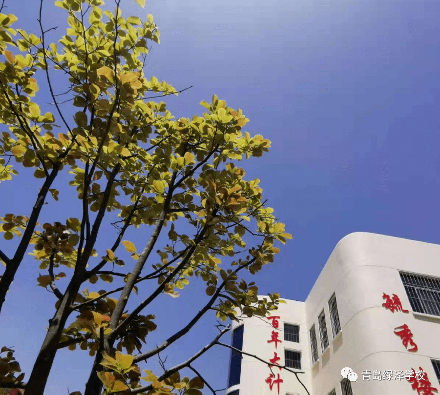 青岛绿泽美术学校 青岛西海岸新区绿泽电影美术学校招聘公告_莱西