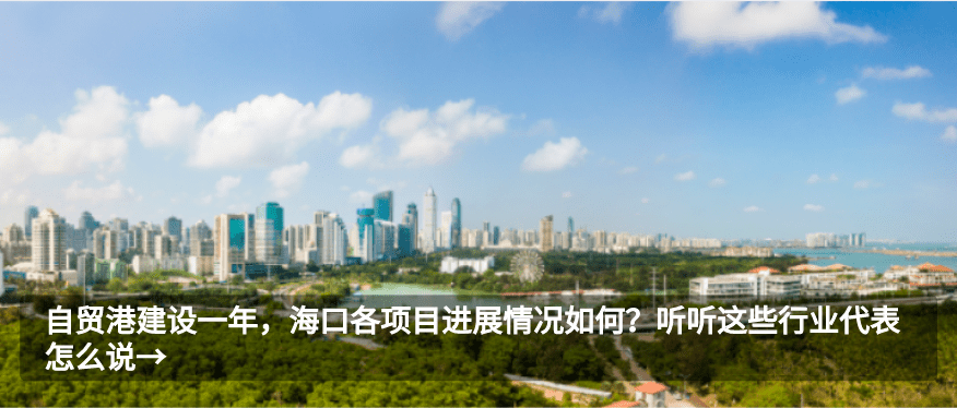 逐梦自贸港,听听他们的椰城追梦故事……_海口