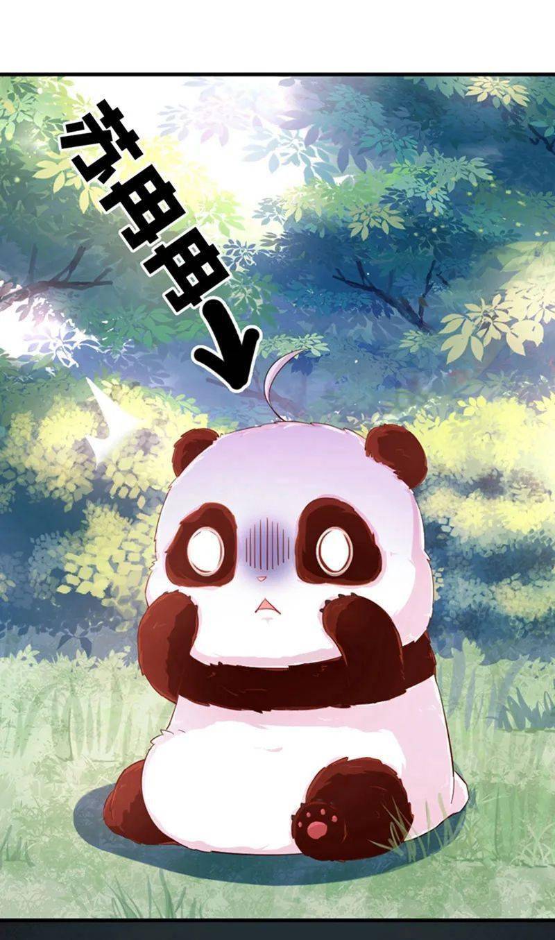 一朝投胎竟变成圆滚滚的熊猫胖达王爷别rua了
