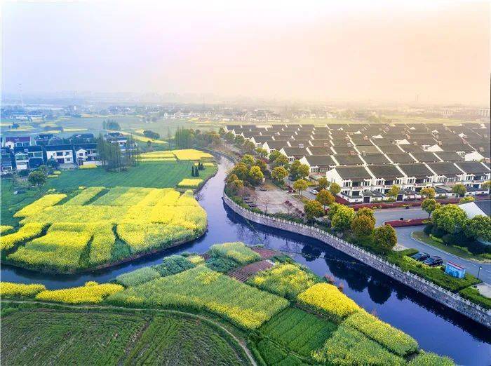 67高新区塘桥镇打造城市新中心