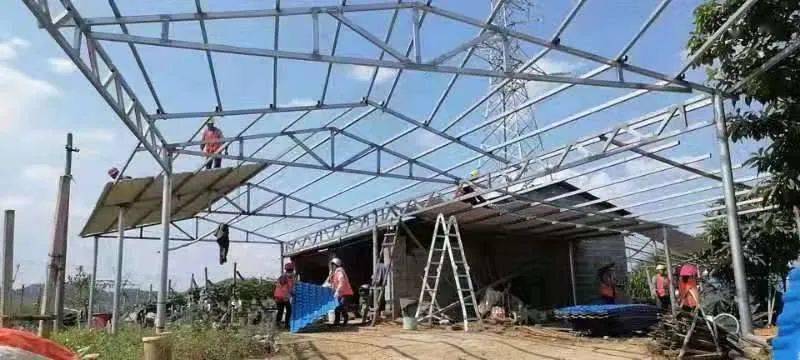 占用耕地违建钢架棚 柳北城管快速处置依法拆除
