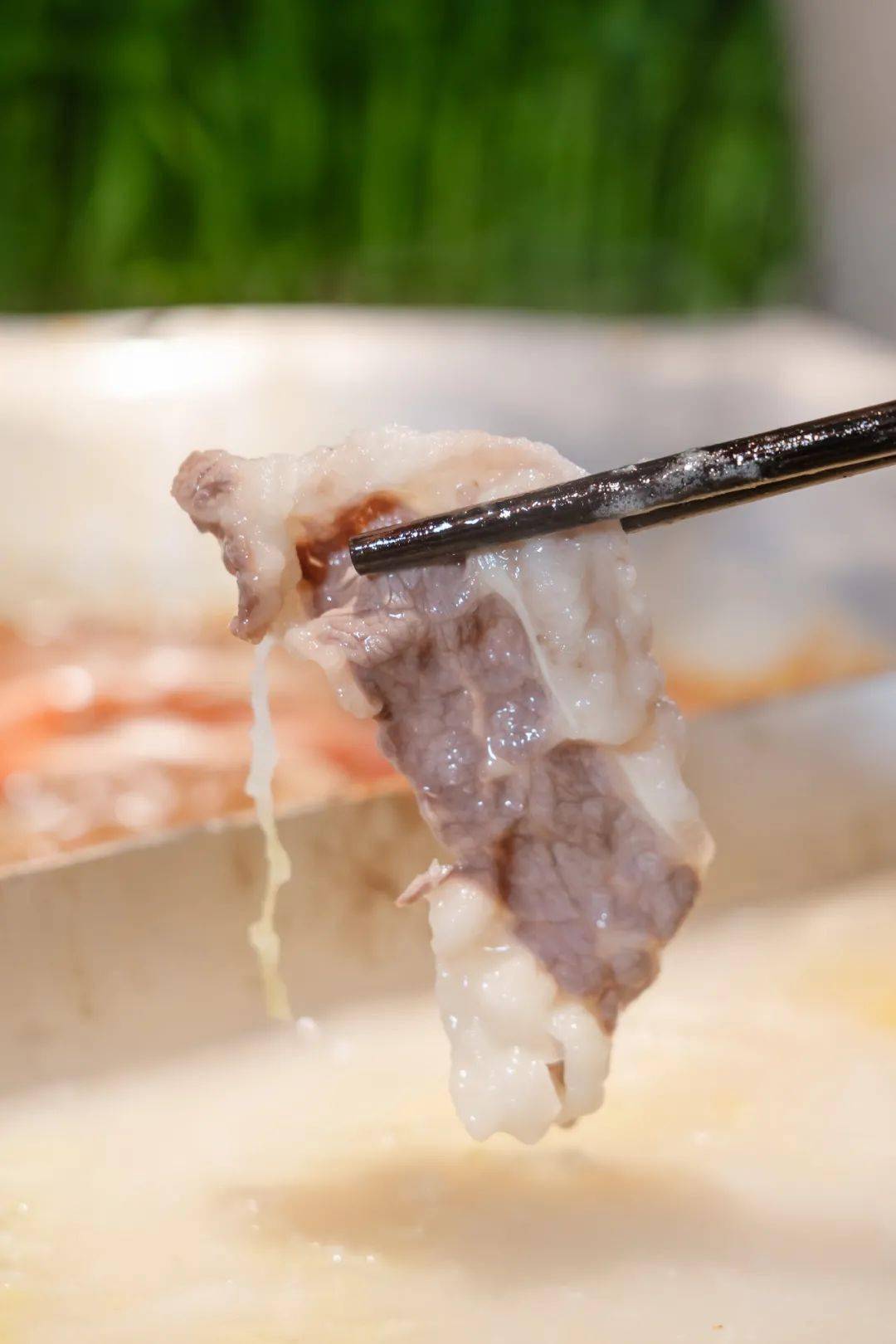 白肉火锅酸爽的酸菜 鲜美的五花肉是南方盆友少见的美味东北特色酸菜