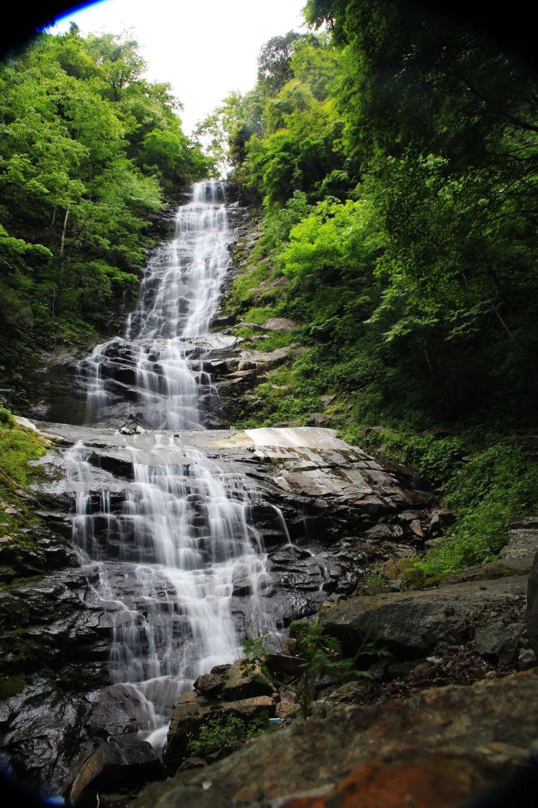登营盘山顶赏海棠花开网友活动作品展播一