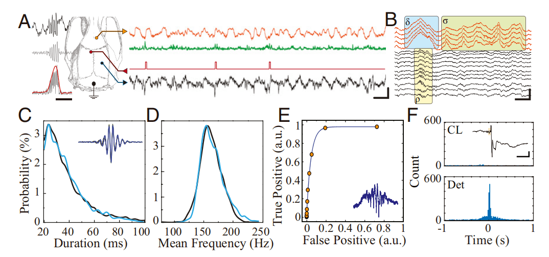 为什么gdp取对数一阶差分_linnany 自娱自乐的GDP研究 先来低端眼神ADF检验 用EXCEL导入1988年 2014年GDP月数据如图 一看图,我勒个去(2)