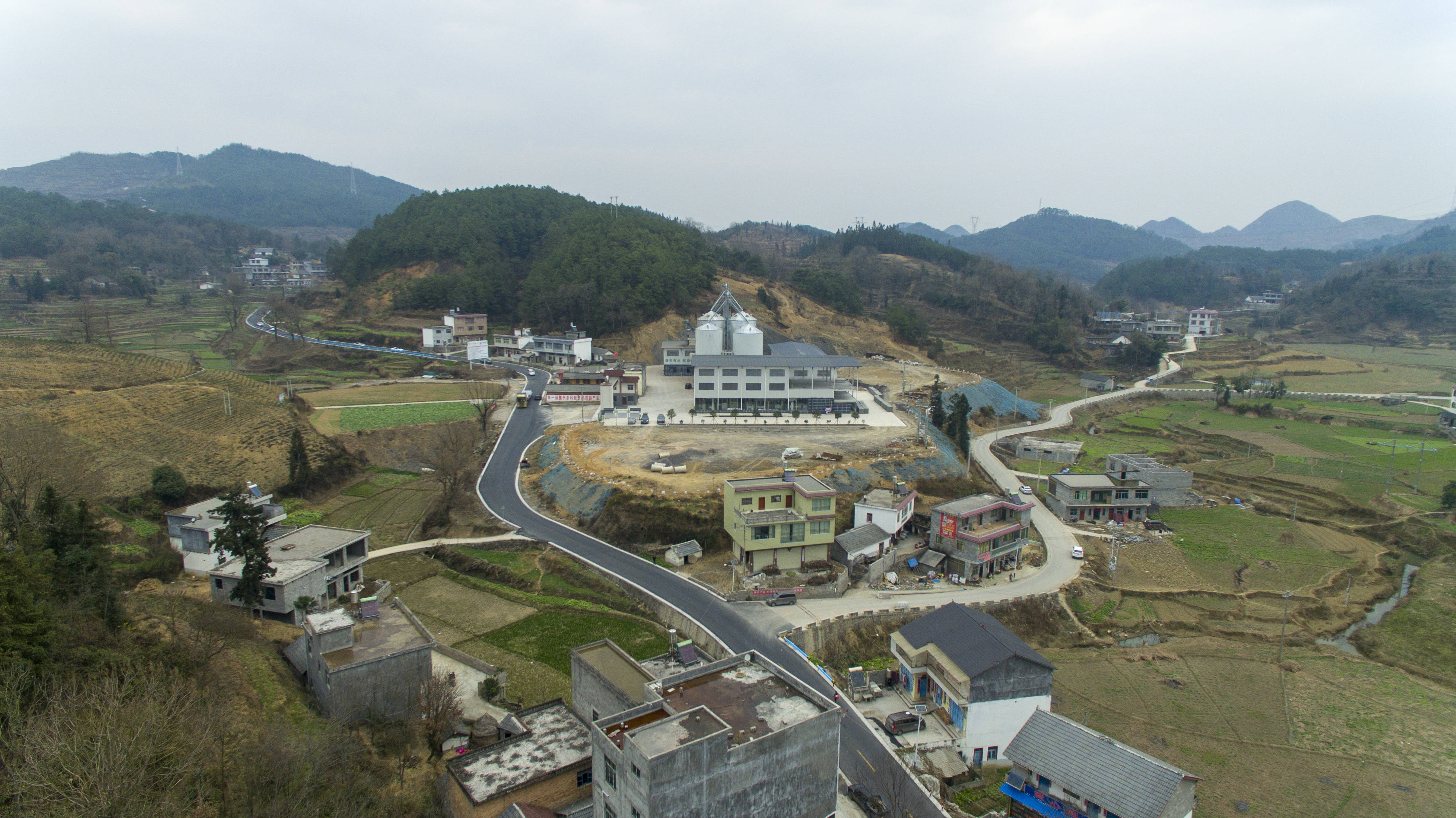 兴仁市成为全国最大薏仁米种植基地