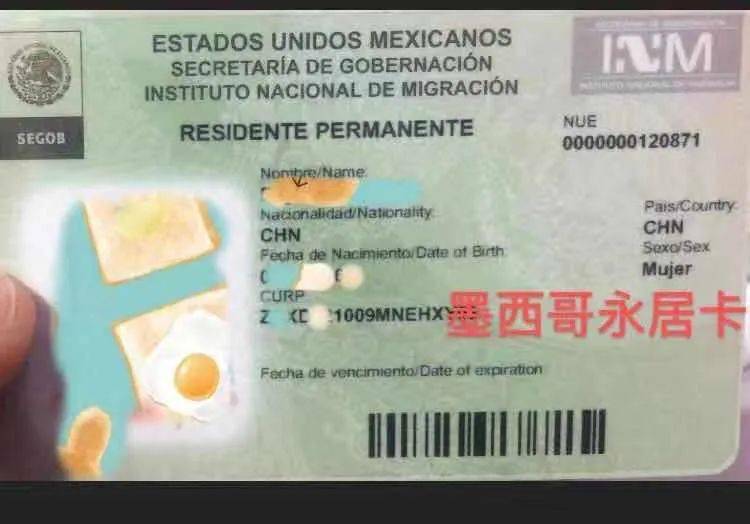 墨西哥入境卡填写模板图片