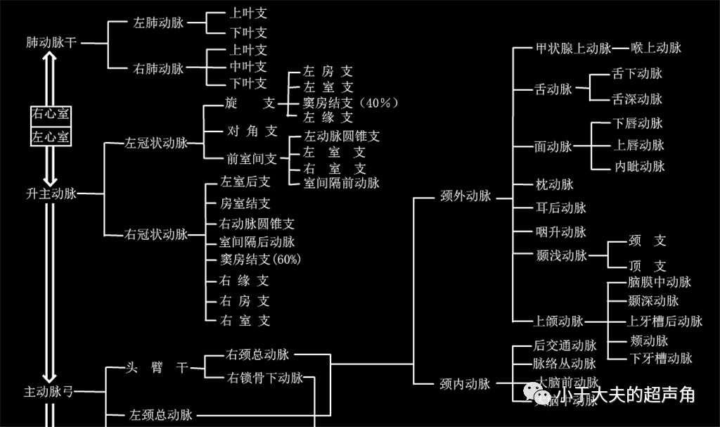 其主要累及颈部主要的血管分支,特别钟情于颞动脉及眼部的供血动脉,而