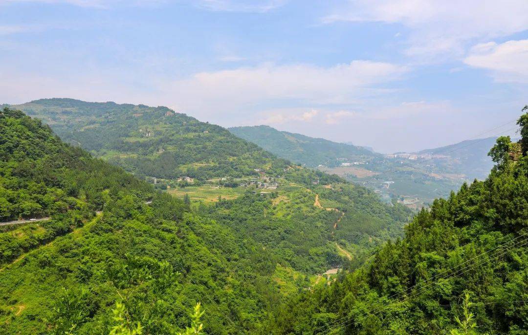 6月5日栖霞镇将举办首届花椒采摘节