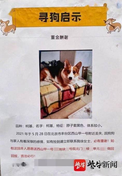 女子发文寻狗送北京一套房？小区售楼处回应，这句话亮了！
