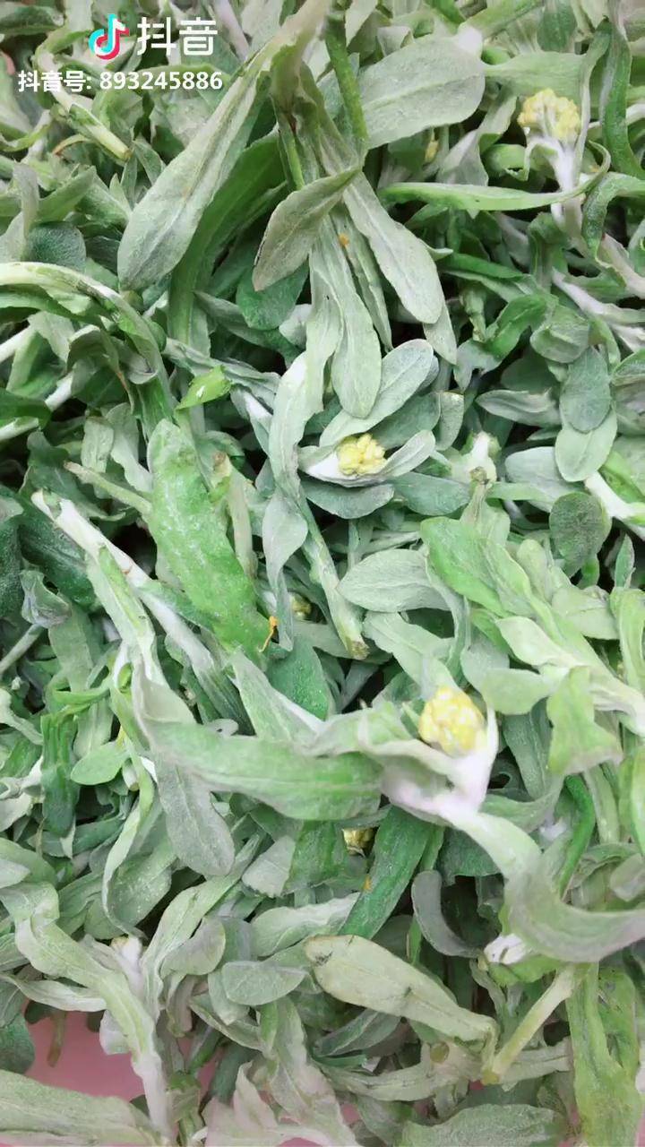 我敢说这个只是我们贵州大多数人吃过毛香粑用野菜