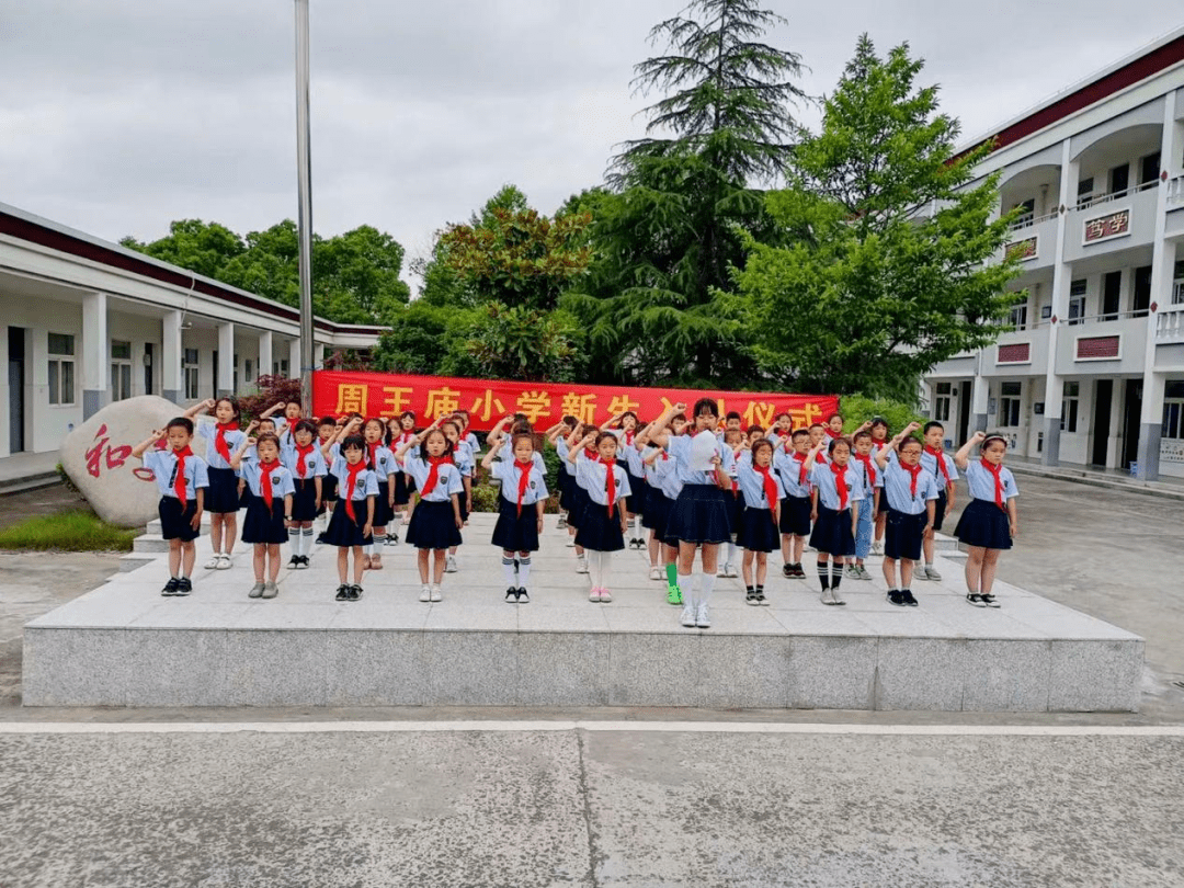 郭店小学双山实验学校硖石小学马桥中心小学谈桥中心小学世外附属海宁