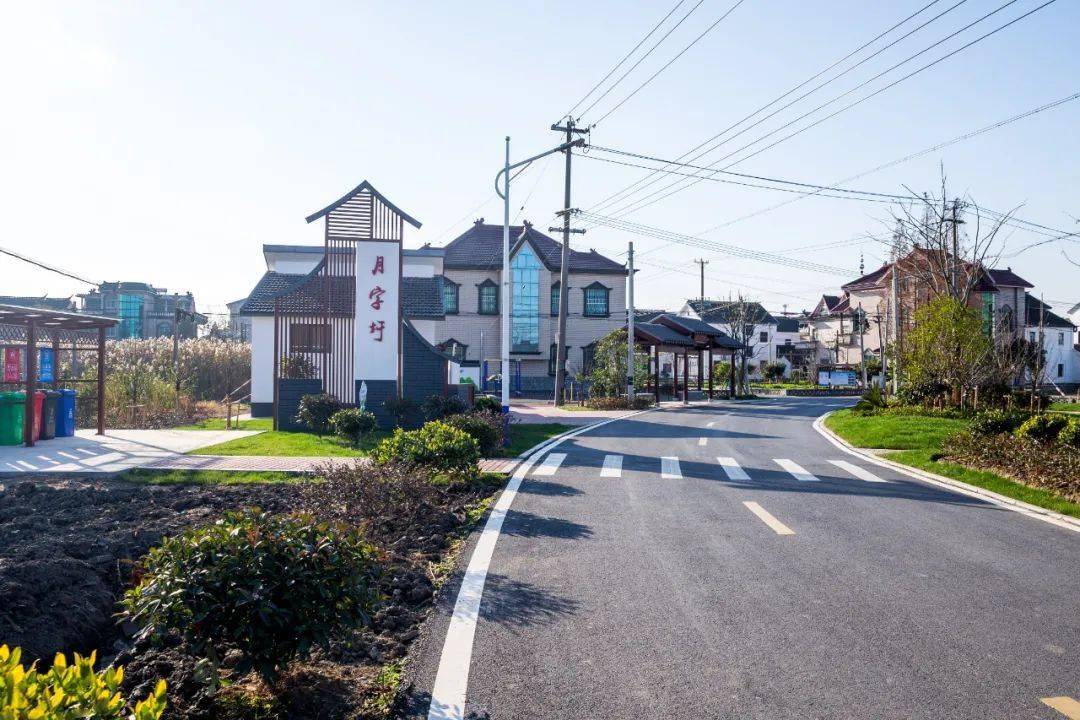 七都镇以高站位高标准高质量扫除违建顽疾