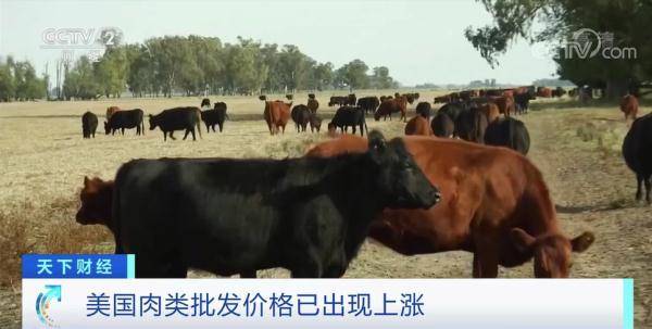 赎金|全球最大肉类加工商被“黑”！工厂被迫停工、肉价上涨、数千名员工受牵连