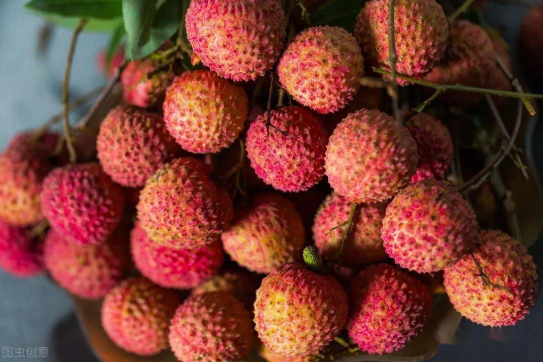 北流荔枝品改迎丰收今年产量预计达12万吨产业超10亿元