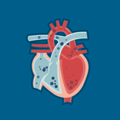 500_500gif 动态图 动图