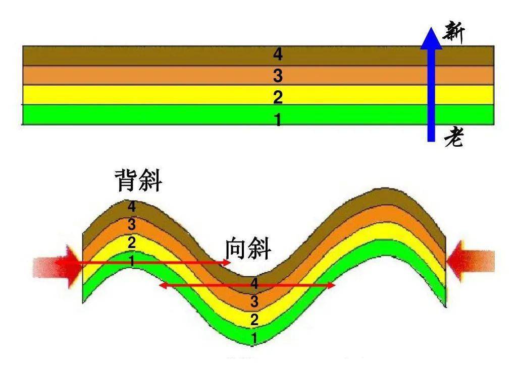 褶皱形成示意图图片