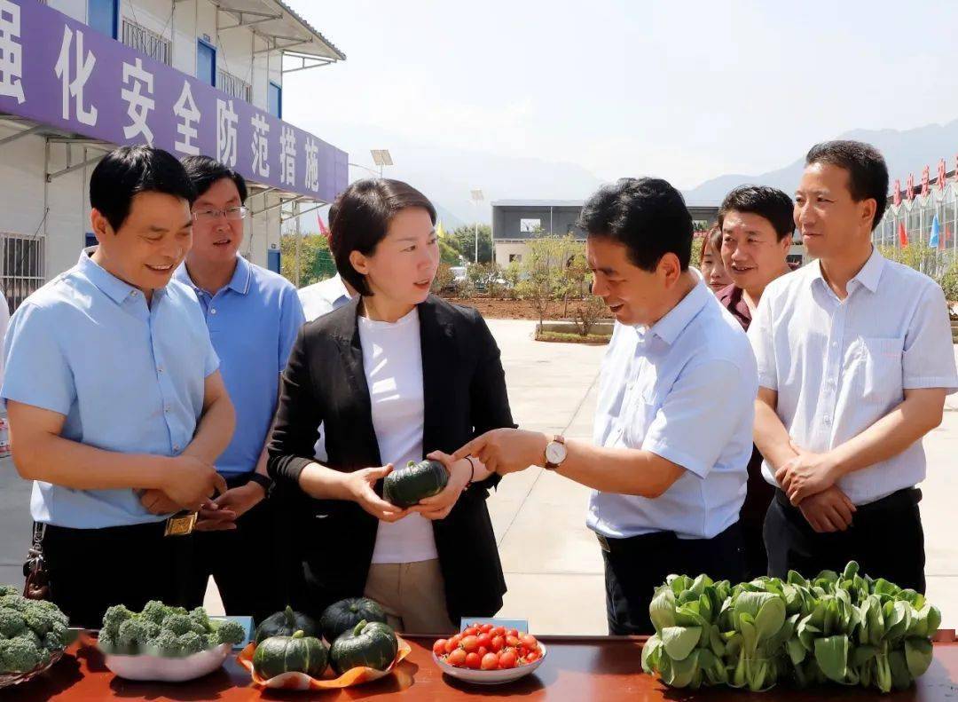 泰和县林梅图片