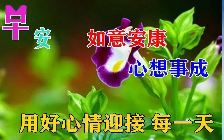 8张早上好动态美图鲜花带字夏日早晨好幸福暖心的问候表情图片鲜花带