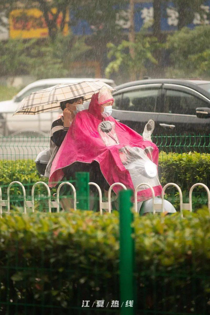 淋雨 落汤鸡图片