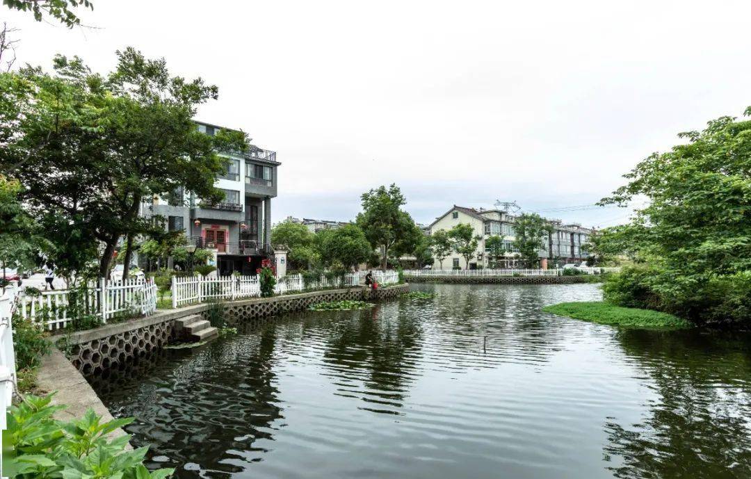 大雲鎮洋橋村天凝鎮洪溪村姚莊鎮橫港村西塘鎮紅菱村羅星街道厙浜村