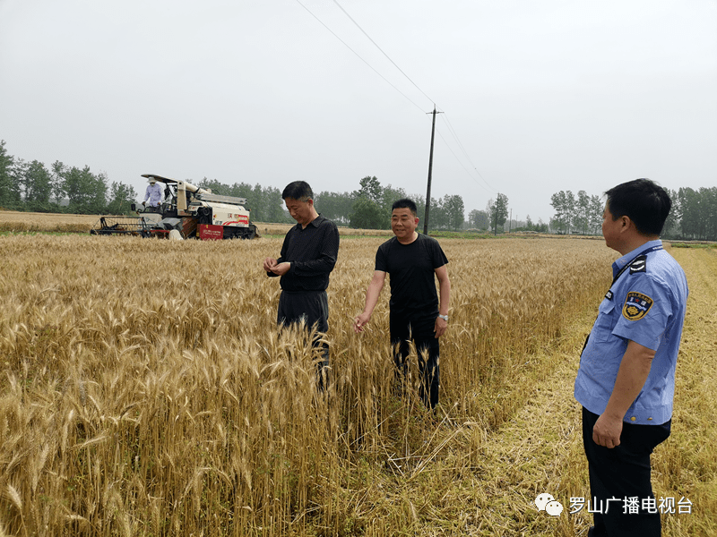 丹凤县封了职教中心能放吗