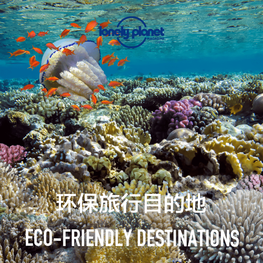 负责任的旅行|全球八大环保旅游目的地