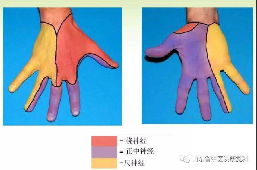 手麻是怎么回事前斜角肌综合征