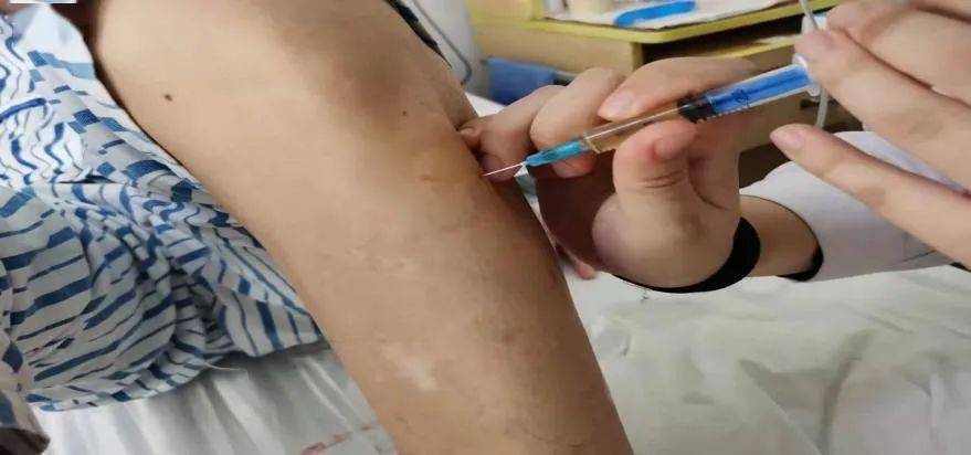 市中医预约呼吸冬病夏治敷贴开始预约啦