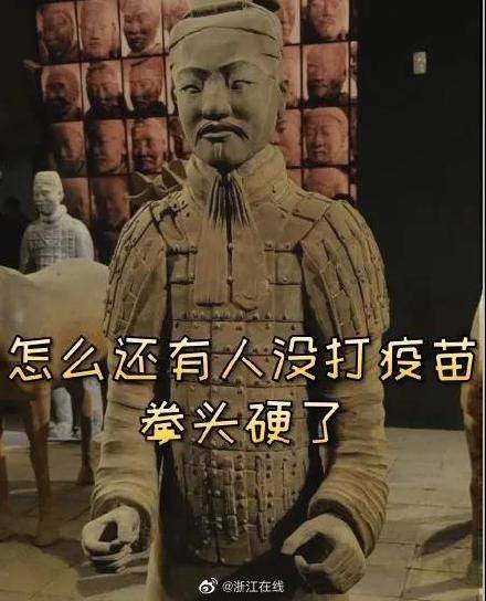 兵马俑健康码”上线！全国网友求更新_陕西