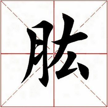 每日一字肱247020210603