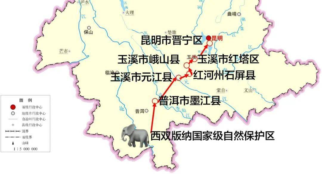 全民围观一路象北