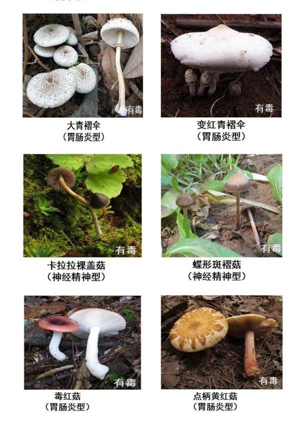 196e88f1b6d240cb977a85f51103cd59.jpeg