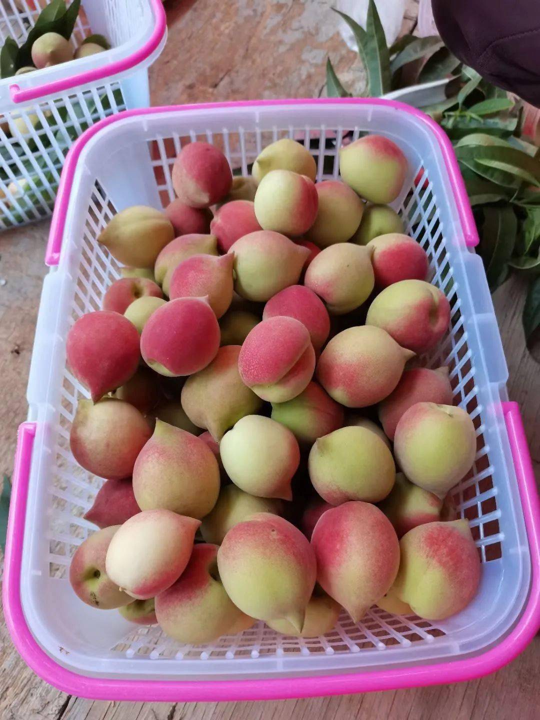 看着都流口水……_桃子