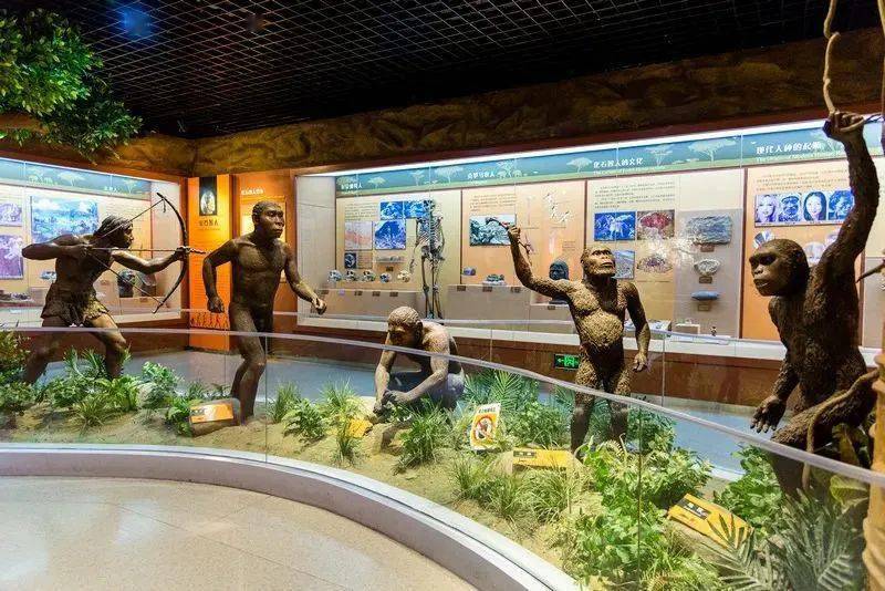 听说北京自然博物馆出雪糕了还是萌萌的恐龙蛋