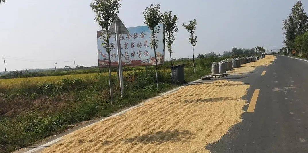 警惕"夺命麦场"