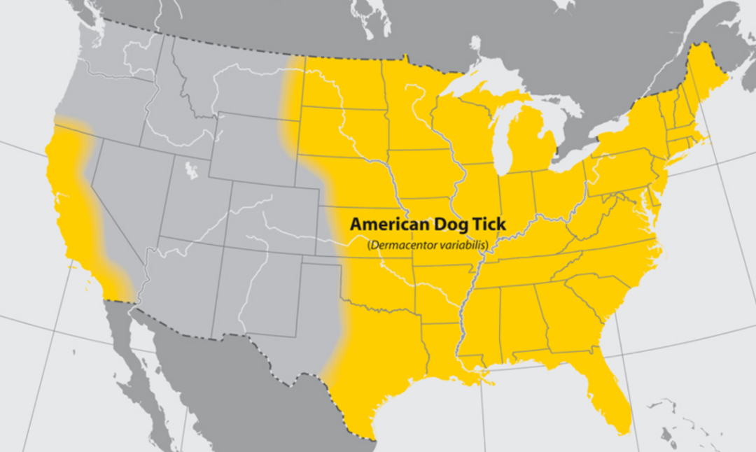土拉菌病(tularemia)和落基山斑疹热(rocky mountain spotted fever).